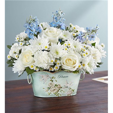 Peace And Healing™ Blue & White