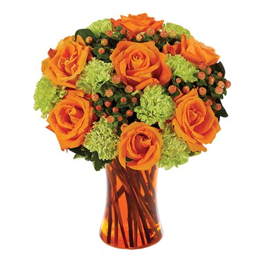 Citrus Splendor